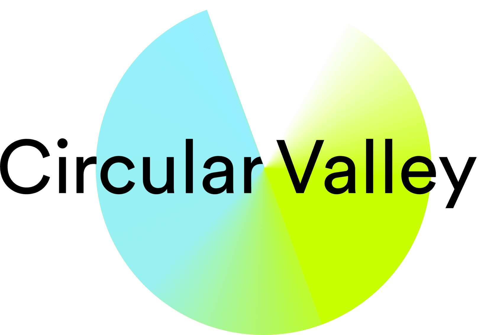 Logo 15